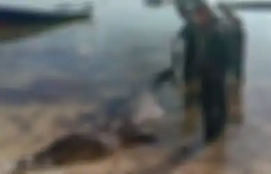 Hendak Pulang ke Rumah, Kapal Pria Ini Diserang Buaya 3 Meter, Diseret ke Air, Kemudian Dibunuh