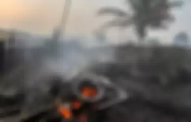 Seekor ular ditemukan mati di area perkebunan nanas milik warga yang terbakar akibat kebakaran lahan gambut yang meluas di Pekanbaru, Riau, Senin (7/10/2019). Kencangnya angin di lokasi lahan yang terbakar membuat api dengan cepat meluas sehingga petugas kesulitan untuk memadamkan kebakaran di kawas