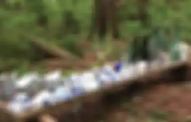 Sebuah Desa Jepang Ditemukan di Hutan Kanada, Kok Bisa?
