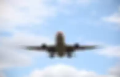 (Ilustrasi pesawat terbang) Gara-gara Buah Asli Indonesia Ini, Seorang Pilot Air Canada Umumkan Keadaan Darurat, Hingga Harus Kembali ke Bandara Semula