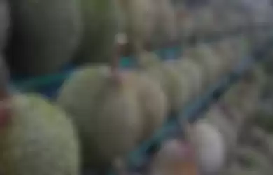 Ilustrasi wujud buah durian
