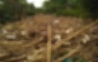 Sampah bambu menumpuk di aliran Sungai Cikeas, Kecamatan Jatiasih, Kota Bekasi, tepatnya di Bendungan Koja, sejak Kamis (10/10/2019).