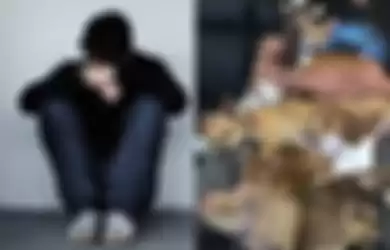 Ingin Balas Budi Karena Pernah Dibantu Saat Patah Hati, Pria Ini Adopsi Puluhan Anjing