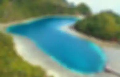Sisi Lain Papua, Lakukan Tradisi ‘Sasi’ Demi Pelestarian Spesies Laut agar Berkembang Biak dan Bertahan Hidup, Seperti Apa Tradisi yang Dilakukan Penduduk Raja Ampat Ini?