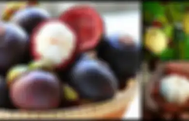 Mudah Ditemui di Indonesia, Buah Manggis yang Jadi 'Ratu Buah' Ini Miliki Manfaat Kesehatan Luar Biasa, Termasuk Antikanker dan Kecantikan Kulit