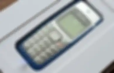 Nokia 1110