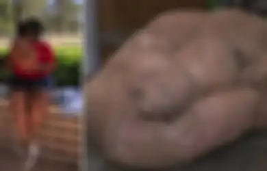 Tukang Kebun Ini Berhasil Tumbuhkan Ubi Jalar Raksasa Seberat 9 Kg, Rahasianya Mudah Lho!