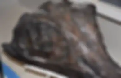 Karena Alasan Agama dan Takut Menyangkal Tuhan, Penemuan yang Menguak Fakta Zaman Prasejarah Ini Disembunyikan Selama 170 Tahun