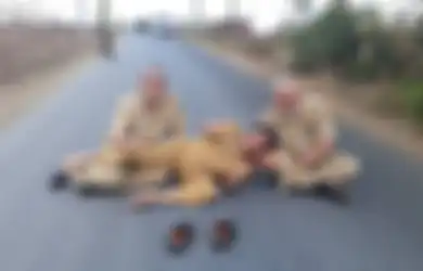Copot Sepatu Langsung Tiduran di Aspal Karena Jalanan Tak Lagi Rusak, Bupati Banjarnegara: 'Benar-benar Bagus, Lebar, Halus, Mulus'