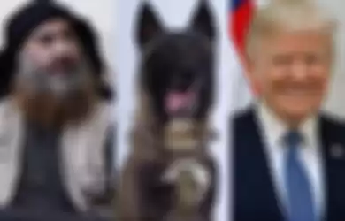 Seekor anjing dianggap sebagai pahlawan oleh Donald Trump karena berhasil membunuh pemimpin ISIS