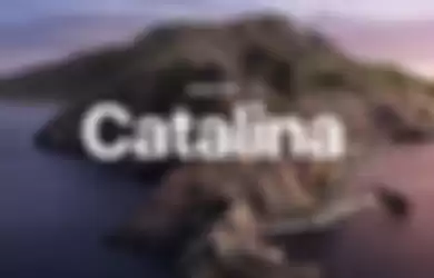 macOS catalina