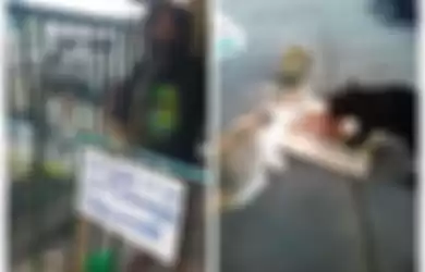 Seorang Pria Tunawisma Jualan Jeruk Limau Demi Beri Makan Kucing Liar Tanpa Pikirkan Diri Sendiri, Nasib hingga Penampilannya Berubah Usai Kisahnya Viral