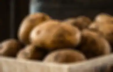 Hadapi Corona; Menyimpan Bahan Makanan Tahan Lama Tanpa Pendingin