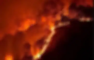 Bukan Sekadar Udara Bertambah Panas, Faktanya Dampak Kerusakan Hutan 600 Kali Lebih Menakutkan dari yang Dibayangkan, Bom Waktu pun Siap Meledak!