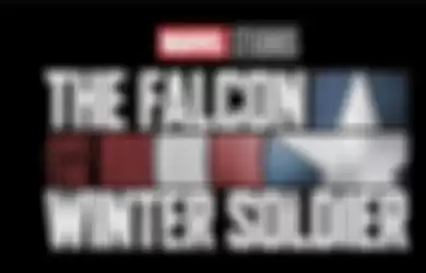 The Falcon and the Winter Soldier