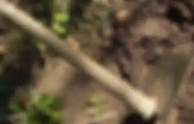 Impor Dapat Hambat Pertumbuhan Lapangan Kerja, Jokowi: Cangkul Masa Masih Impor? Kebangetan!