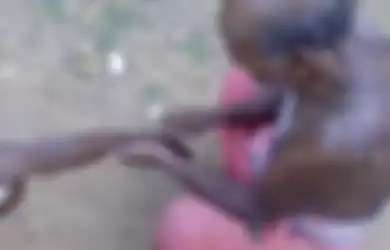 Praktik Miris Seorang Dukun Tradisional, Hanya Gunakan Silet dan Daun Untuk Mengobati Korban Terkena Gigitan Ular