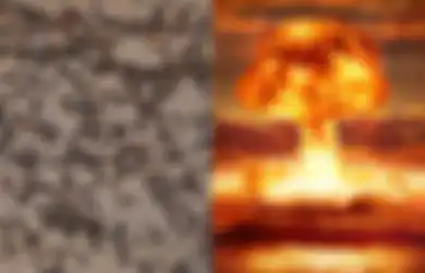 Terjebak dalam Bunker Nuklir, Perilaku Semut-semut dalam Koloni Ini Berubah Jadi Mengerikan, Namun Justru Dianggap Sebagai Kabar Bahagia