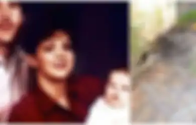 Misteri Hilangnya Seorang Ibu Muda dan Kesaksian Bocah 3 Tahun yang Tak Dipercaya Selama Lebih dari 20 Tahun