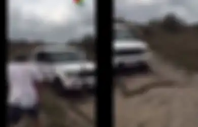 Piton Raksasa Ini Mengejar Turis dan Memanjat Mobil dengan Beringas, Ia Adalah Jenis Ular Terbesar di Afrika