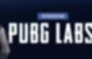 PUBG Labs