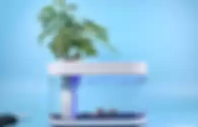 Xiaomi Fish Tank