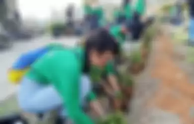 Para mahasiswa sedang menanam pohon