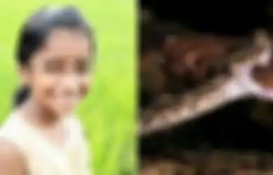 Kalau Saja Gurunya Tidak Menganggap Aduannya Sebagai Candaan, Nyawa Murid SD Itu Pasti Selamat dari Gigitan Ular