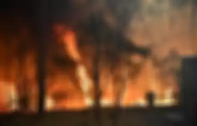 Kebakaran hutan yang terjadi sejak Oktober