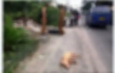 Bangkai Babi Ditemukan di Jalan-jalan, 'Ini Tadi Siang Ditemukan Sekitar Pukul 12.00 Lewat'