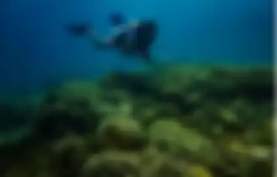 Pemandu selam di Polnustar Diving Center, Herjumes A Atjin, melayang di atas hamparan terumbu karang di Desa Petta, Kabupaten Kepulauan Sangihe.