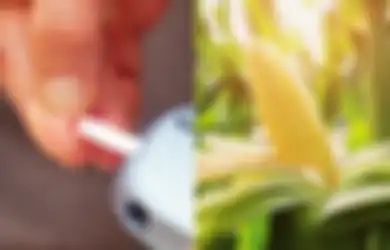 Berita Baik untuk Penderita Diabetes, Menurut WHO Makanan Ini Paling Baik Buat Dikonsumsi