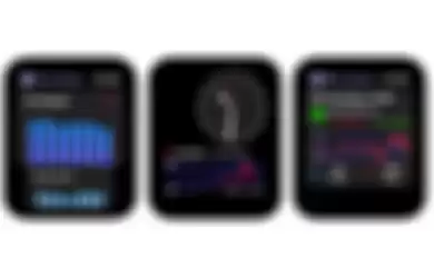 Aplikasi Heart Analyzer di Apple Watch