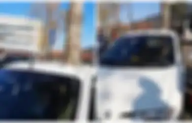 Orang-orang Kebingungan Pohon Besar Bisa Tumbuh di Tengah-tengah Mobil Ini, Hingga Seseorang Akhirnya Ungkapkan Fakta Tak Terduga Ini