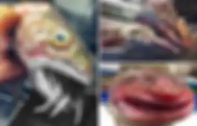 Saat Nelayan Ini Menarik Jaringnya yang Jatuh, Siapa Sangka 'Monster Laut' Mengerikan yang Muncul dari Dasar Lautan, Deretan Giginya Merupakan Fitur Primitif