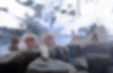 'Cakaran' Monyet Unik Ini Ternyata Sangat Berbahaya, Menularkan Virus Langka Sampai Dapat Melumpuhkan Tubuh dan Otak