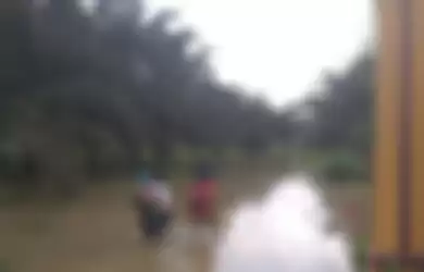 Banjir masih menggenang di Desa Sontang, Bonai Darussalam