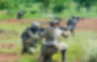 Dijaga Ketat Pasukan Militer Inilah Hewan Paling Berharga di Dunia, Spesiesnya Tinggal Satu, Hukuman Berat Menanti Siapa Saja yang Menyakitinya