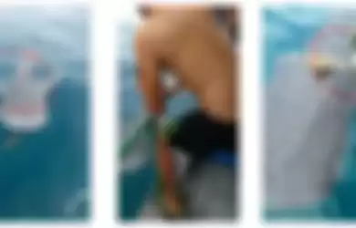 Video Detik-Detik Ikan Paus Dekati Kapal Nelayan Minta Bantuan Saat Terlilit Tali, Setelah Terlepas Ini yang Dilakukan Untuk Ucap Terimakasih!