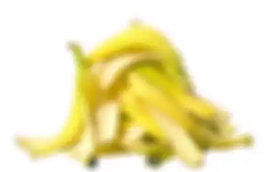 Kulit pisang dapat turunkan kolesterol.