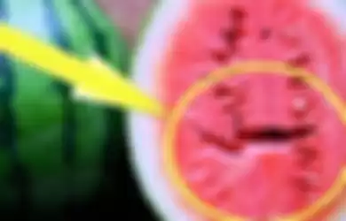 Rongga atau retakan di dalam semangka