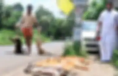 Bekerja Sebagai ‘Pembunuh Anjing Terlantar’, Pria Ini Tidak Kuasa Saat Bayinya Menjadi Penebus Dosanya Dan Mengalami Kondisi Hampir Sama Sebelum Akhirnya Meninggal Dunia