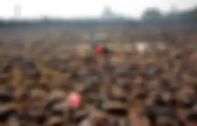 Kepala Terputus dan Isi Perut Berceceran, Beginilah Pemandangan Sisa-sisa Mengerikan Ritus Pembantaian Hewan Terbesar di Dunia