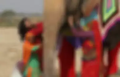 Lindungi Gajah dari Musim Dingin yang Ekstrem, Relawan Ini Buatkan Sweater Jumbo yang Modis untuk Hewan-hewan Itu