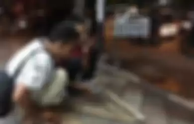 Ular kobra yang mengagetkan penjaga toko di jalan Jawa Jember.