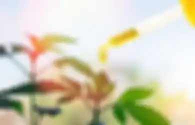 Seorang Wanita Tanam 17 Pohon Ganja untuk Obat Kanker: Peneliti Mengakui, Tapi Peringatkan tentang Efeknya Jika Memanfaatkanya Lewat 'Cara Populer' Ini