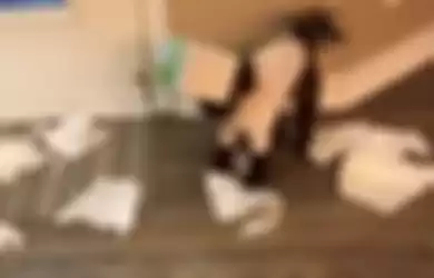Video Viral! Lucunya Anjing yang Menyukai Tisu, Kepalanya Tertahan di Kotak Tisu dengan Ekor Bergoyang-Goyang