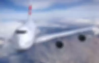 Pesawat terbang