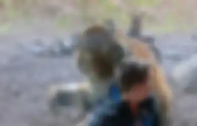 Pantas Dirinya 'Diserang' dan Dibenci Setengah Mati olah Warganet, Ucapan dan Reaksi Pria Ini saat Anaknya 'Diserang' Harimau Memang Dianggap Menjengkelkan