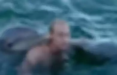 Putin berenang bersama lumba-lumba